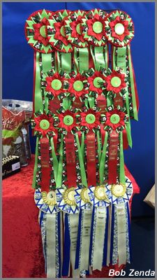 Lovely Rosettes for winners
